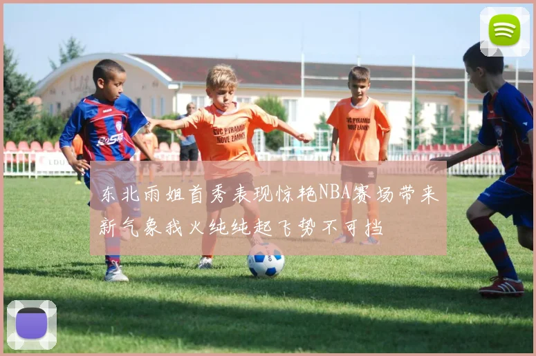 东北雨姐首秀表现惊艳NBA赛场带来新气象我火纯纯起飞势不可挡