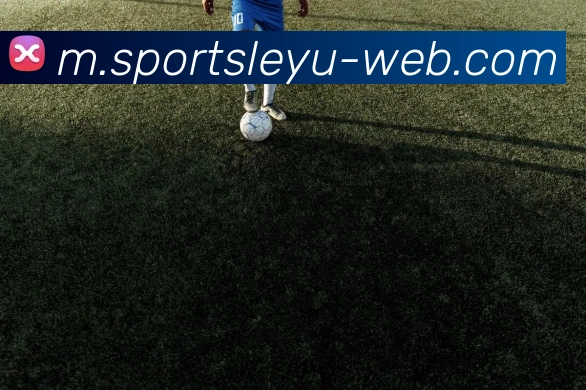 乐鱼体育APP 封面图