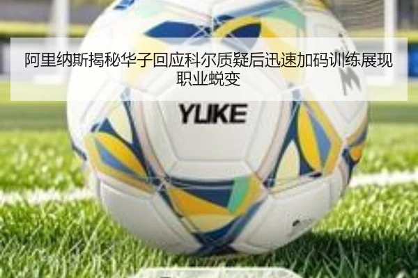 阿里纳斯揭秘华子回应科尔质疑后迅速加码训练展现职业蜕变 - Leyu